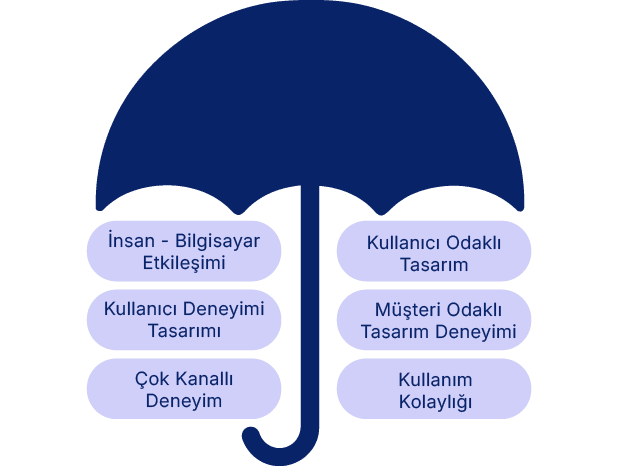 Kullanici deneyimi ile hizli gezinme